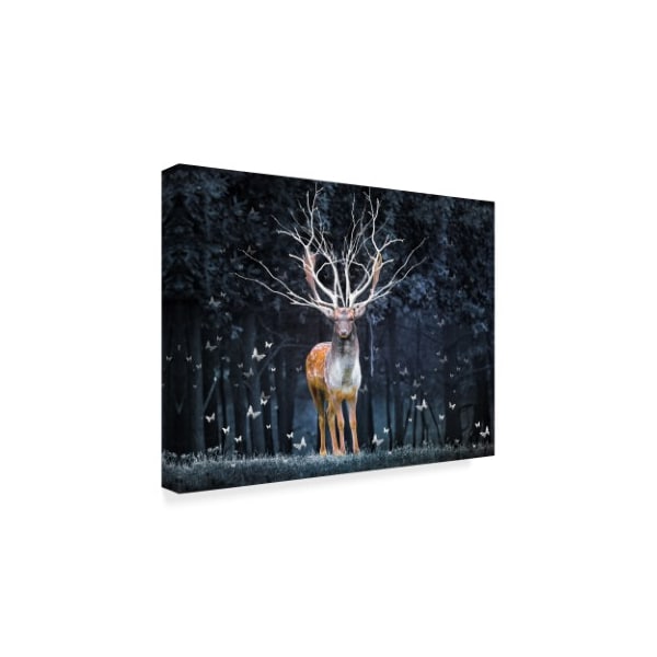 Ata Alishahi 'Magical Deer' Canvas Art,35x47